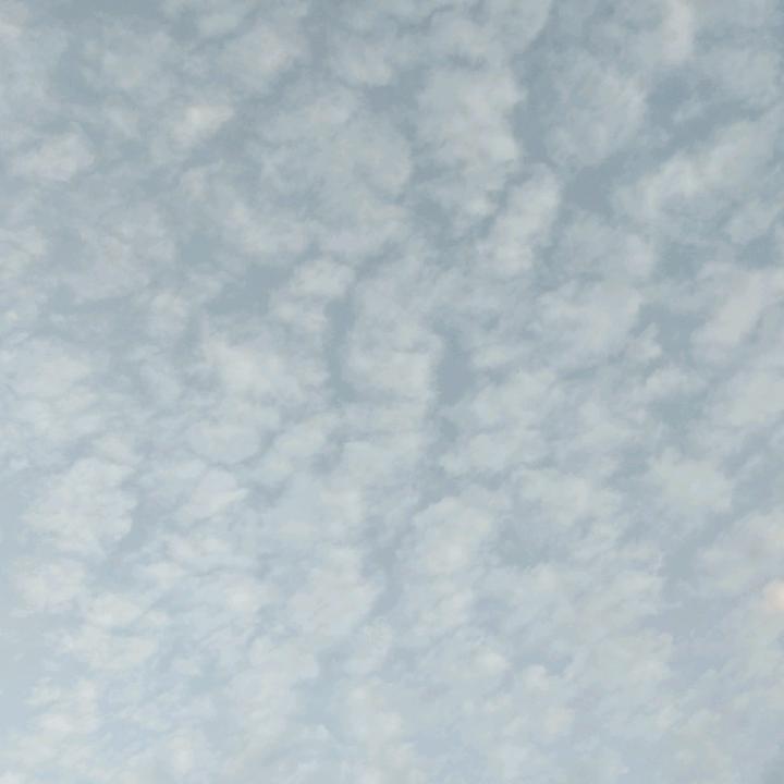 打豆豆