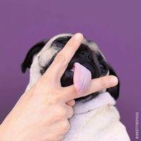 bqwmooo