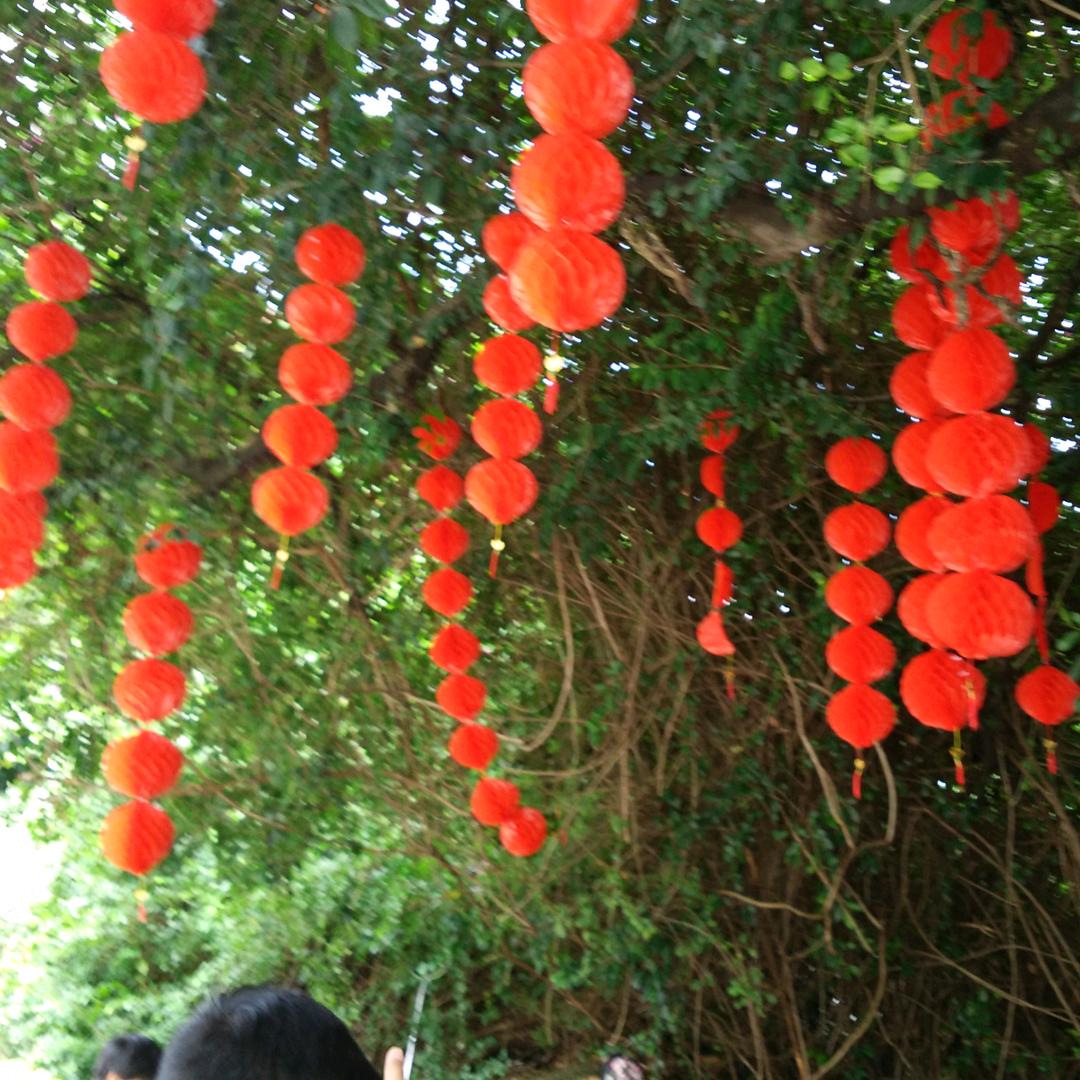 燕麦谷粒