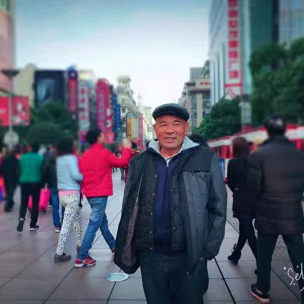 中华一条龙
