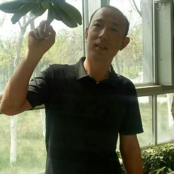 金盛农：陕西特产供应链