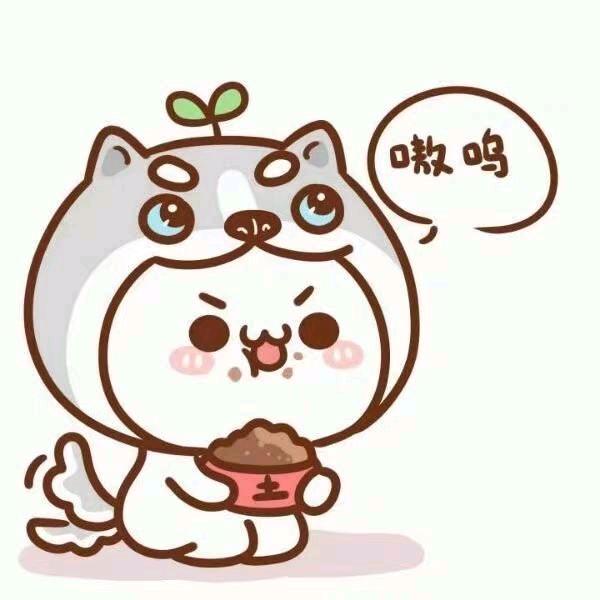 Wuli琳琳
