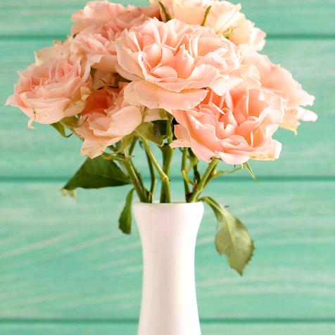 快快乐乐＜＜爱心＞＞