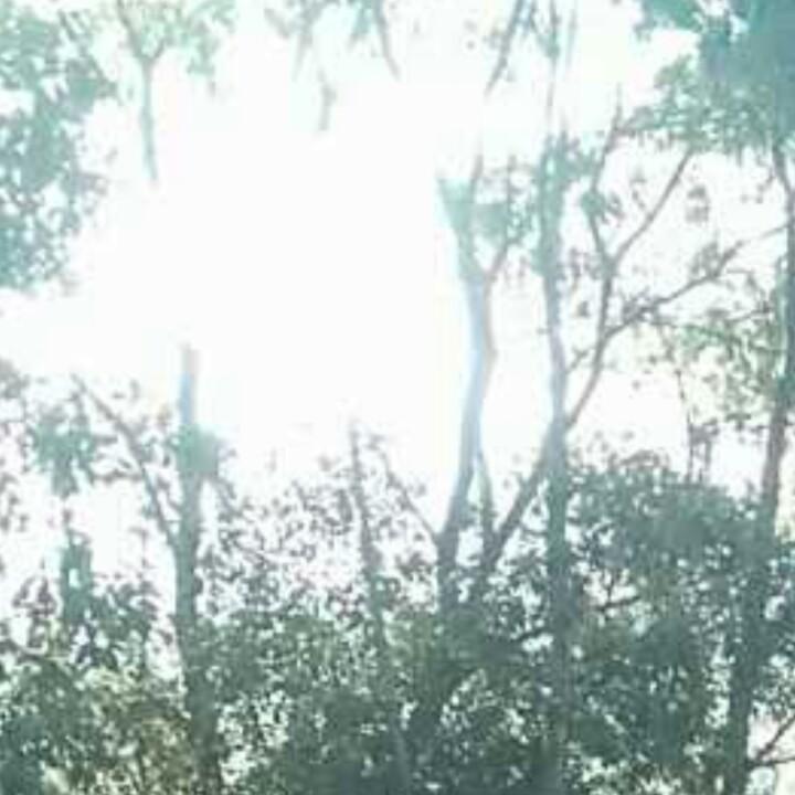 随你天涯