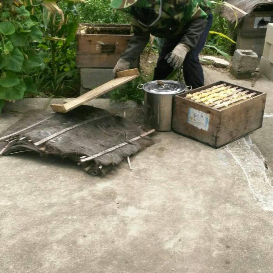 蜂蜜老农吴荣桃