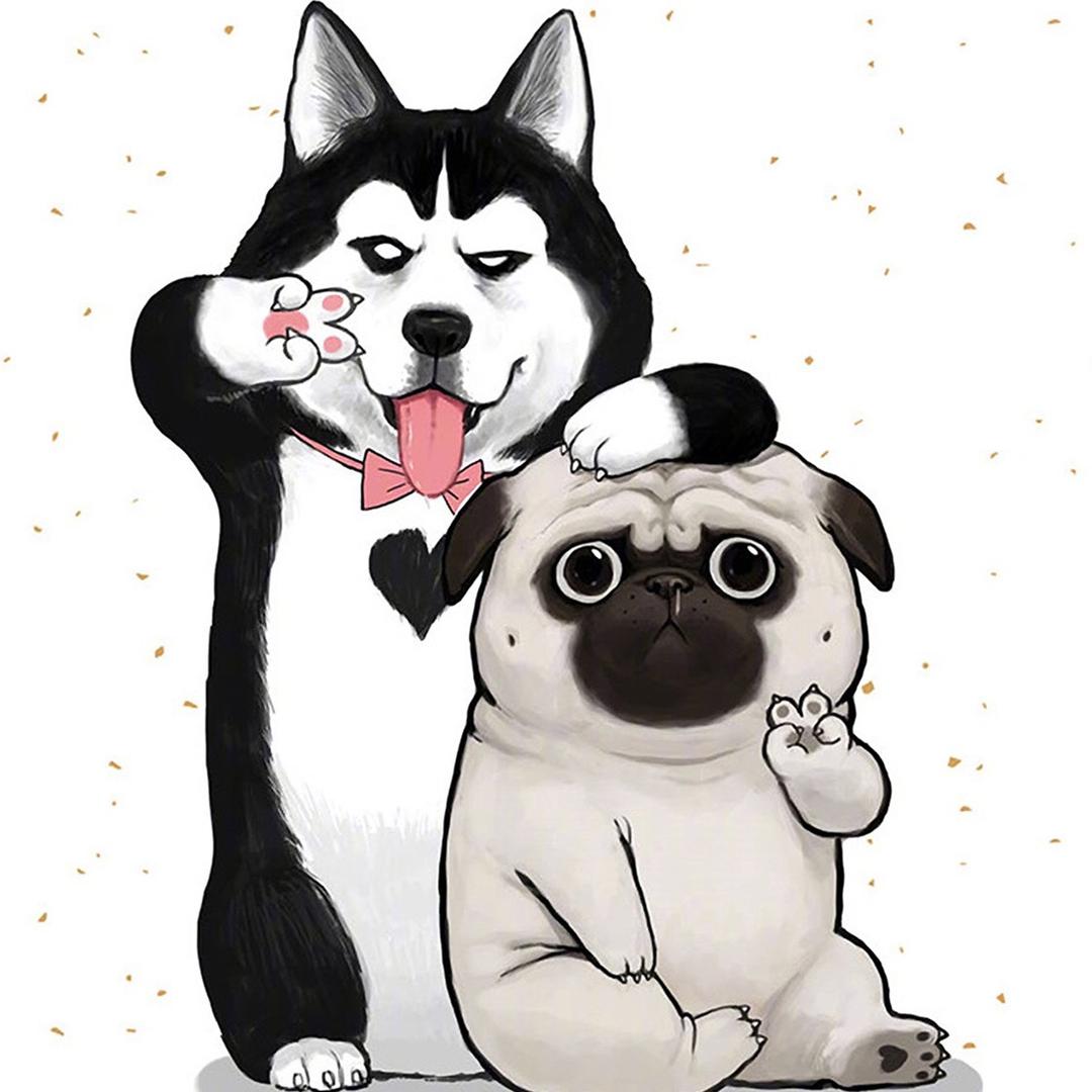 乐迈科技