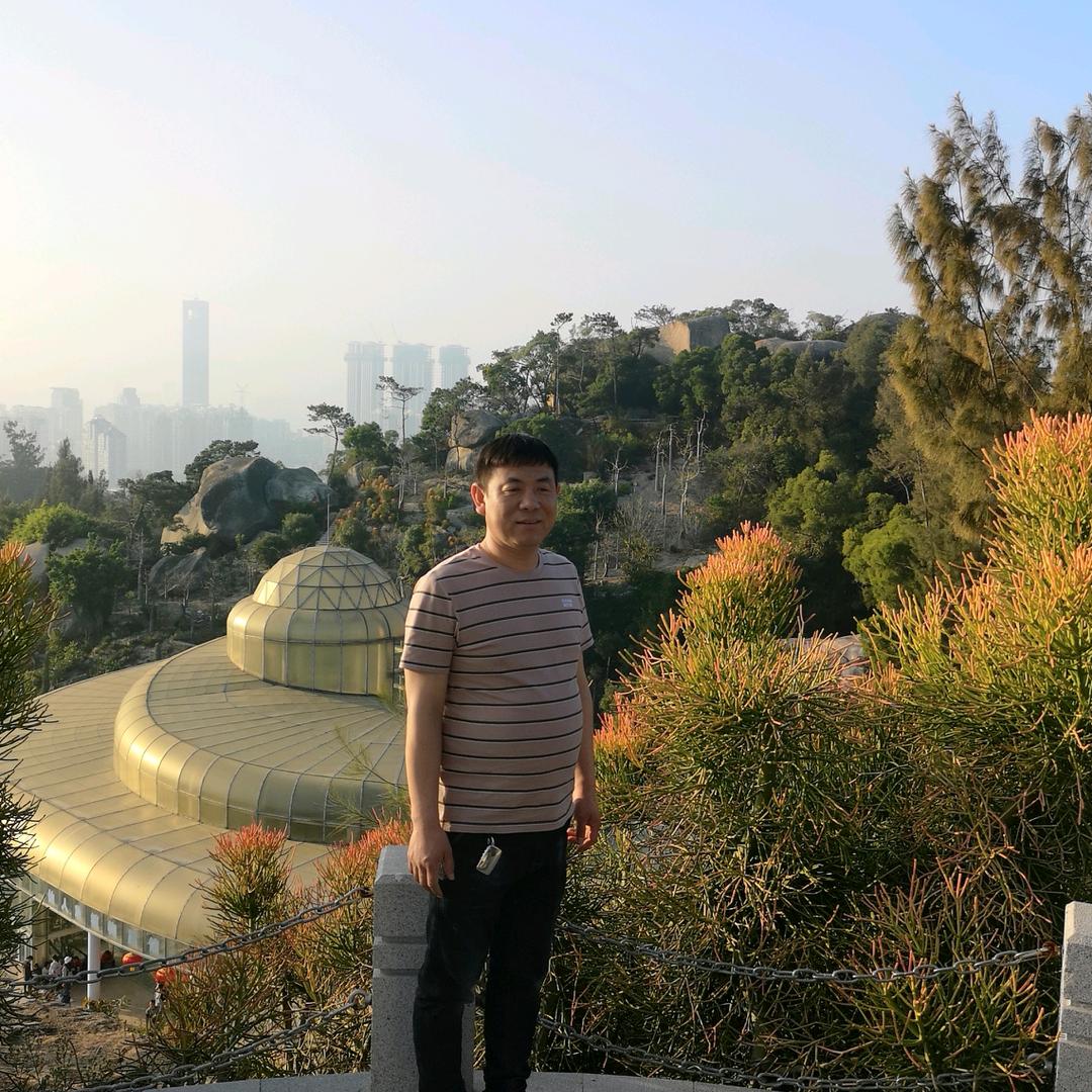 鸿泰护栏网现货