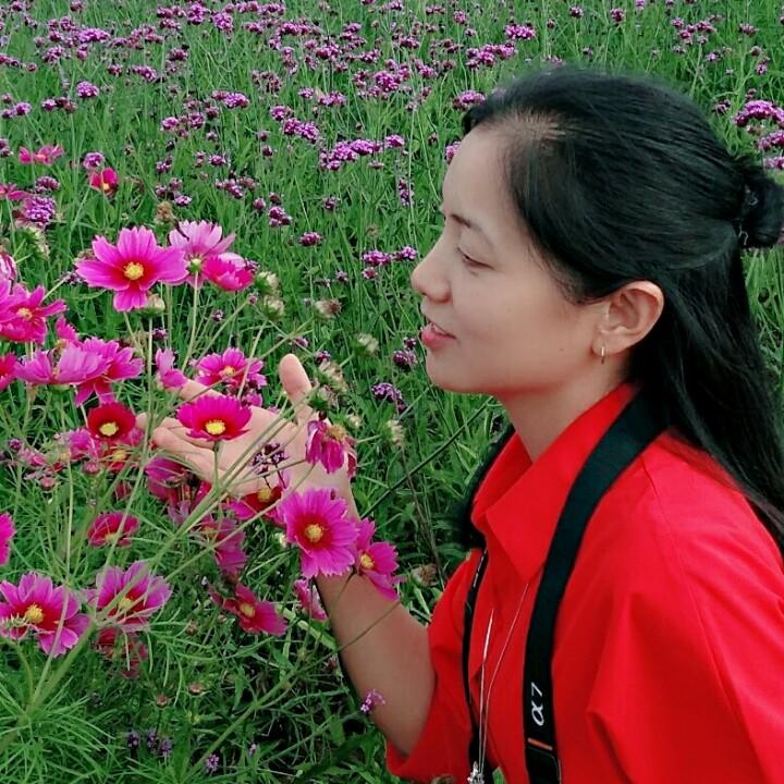 春暖花开