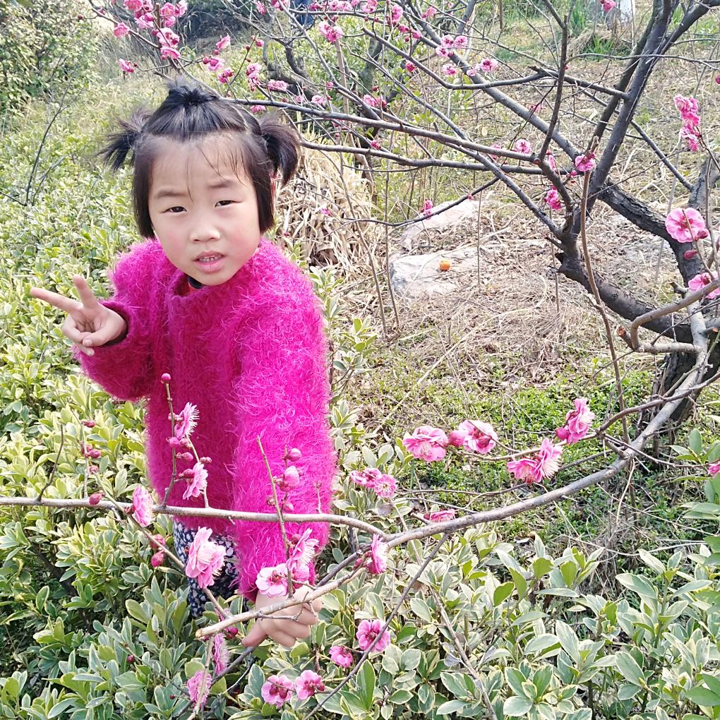 杨楼百联正在直播
