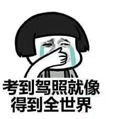 仲崇林（驾校小车教练）