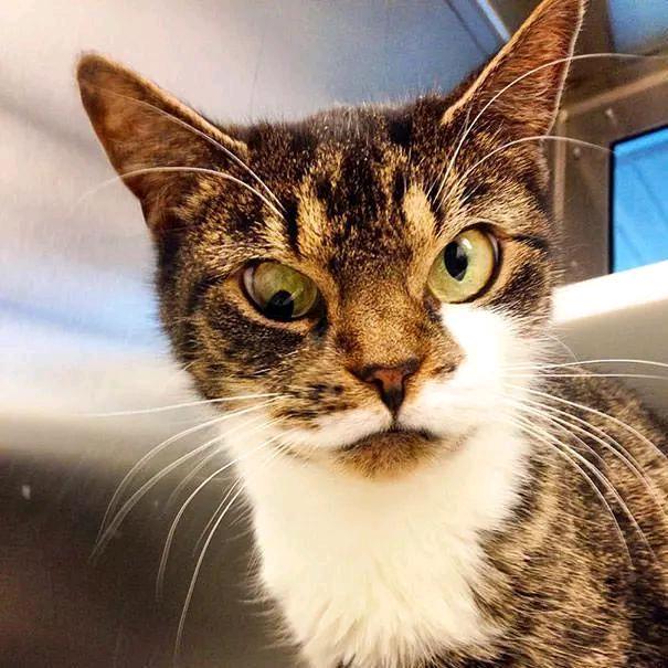 花栗鼠的番茄🍅