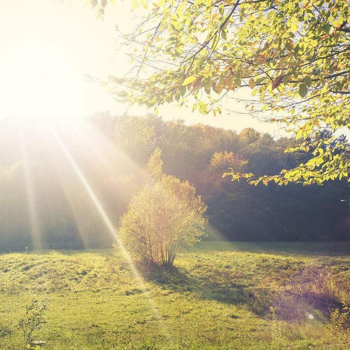 小军师(搬砖中…)