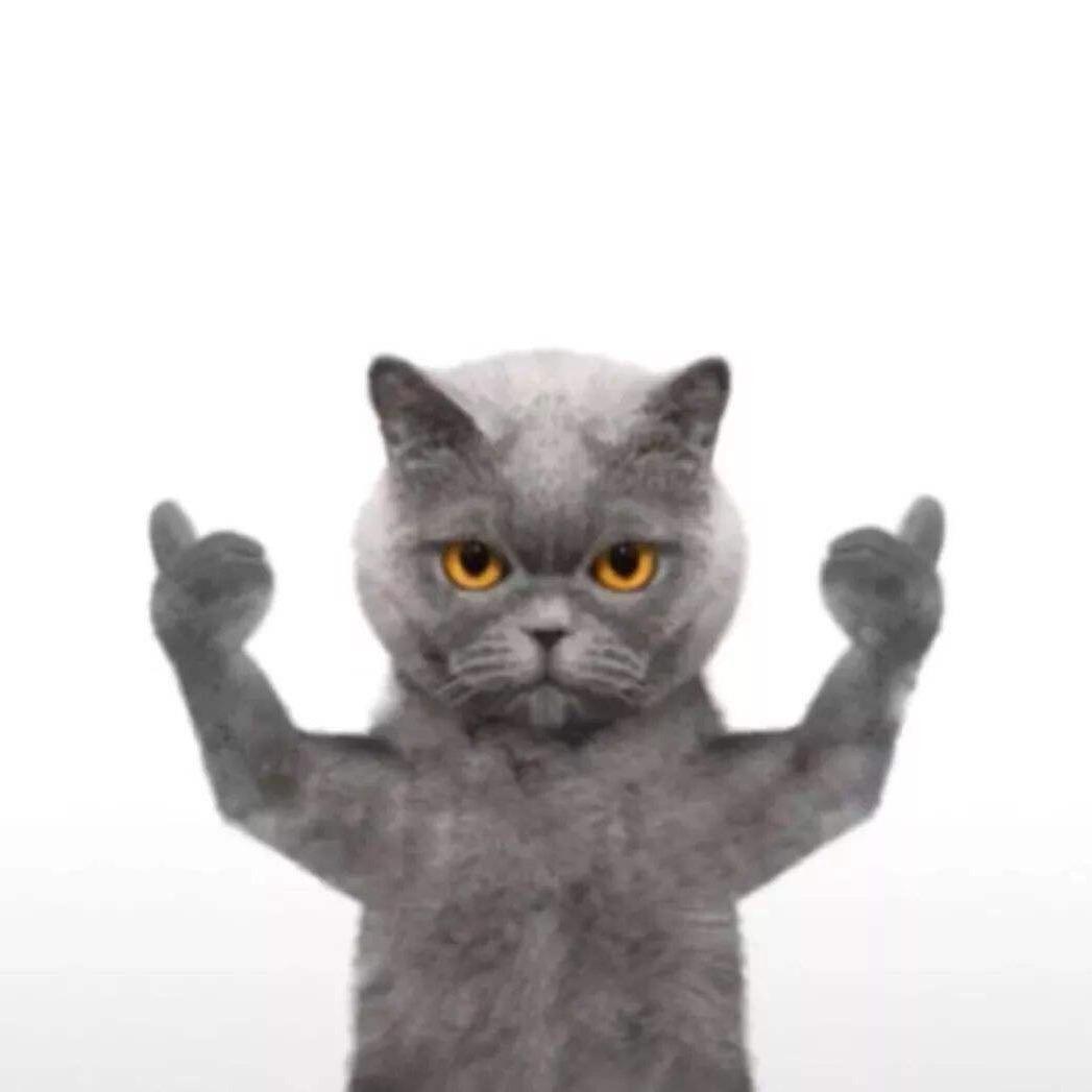 老韩小伟怕过谁