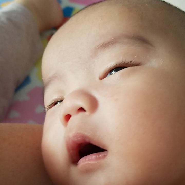 糖醋霸王龙