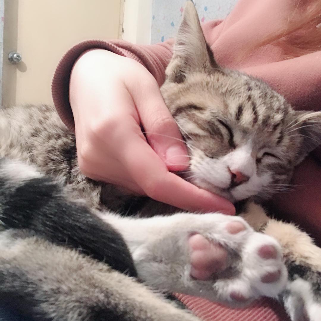 🌈吧啦吧啦老魔仙