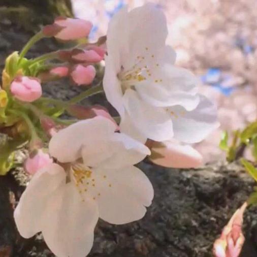 愿时光待你安好、