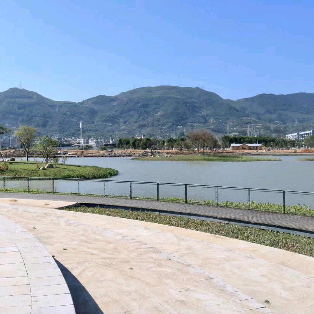 棉