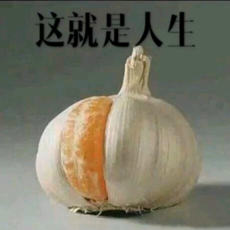 肥刘