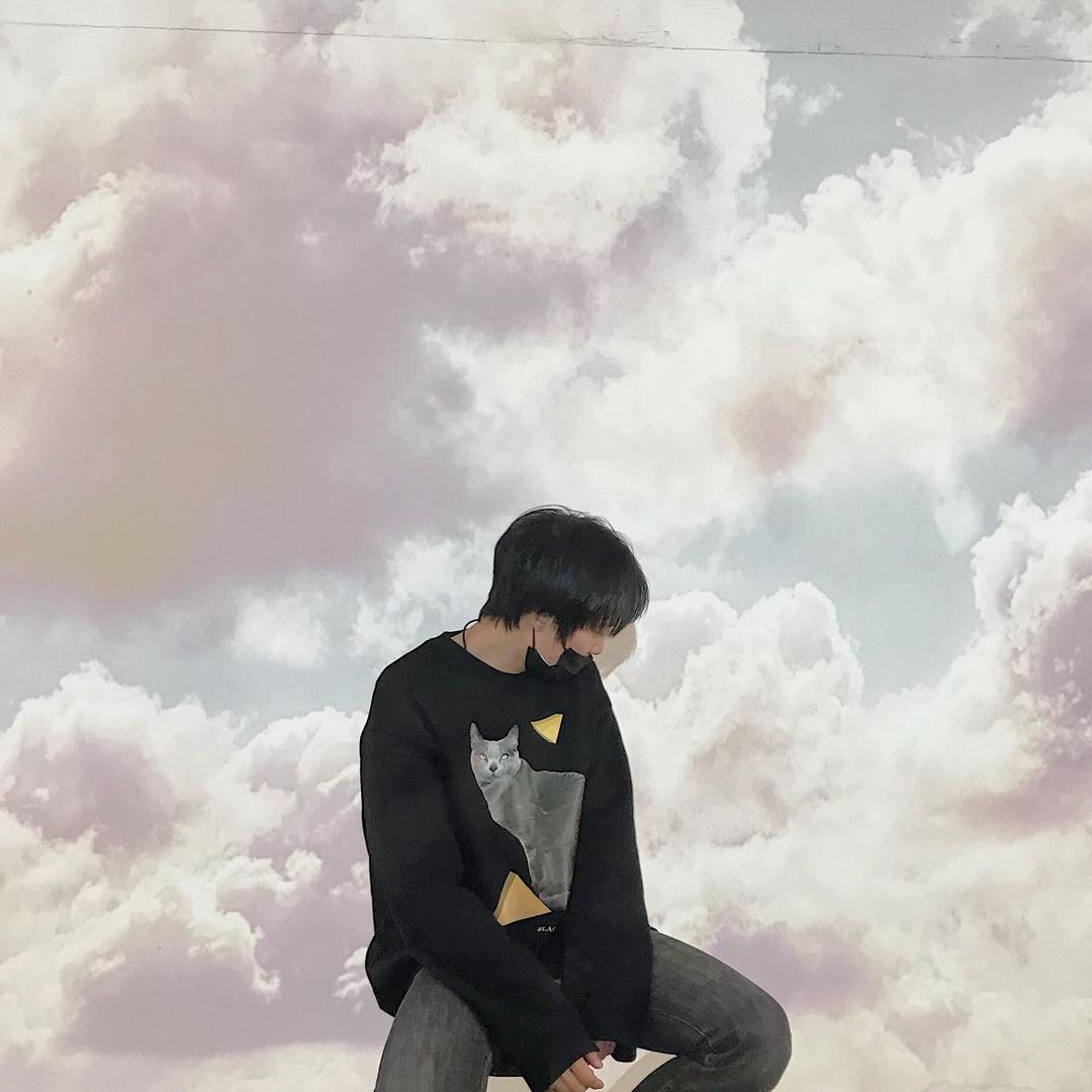 猫的树Cattree@抖音