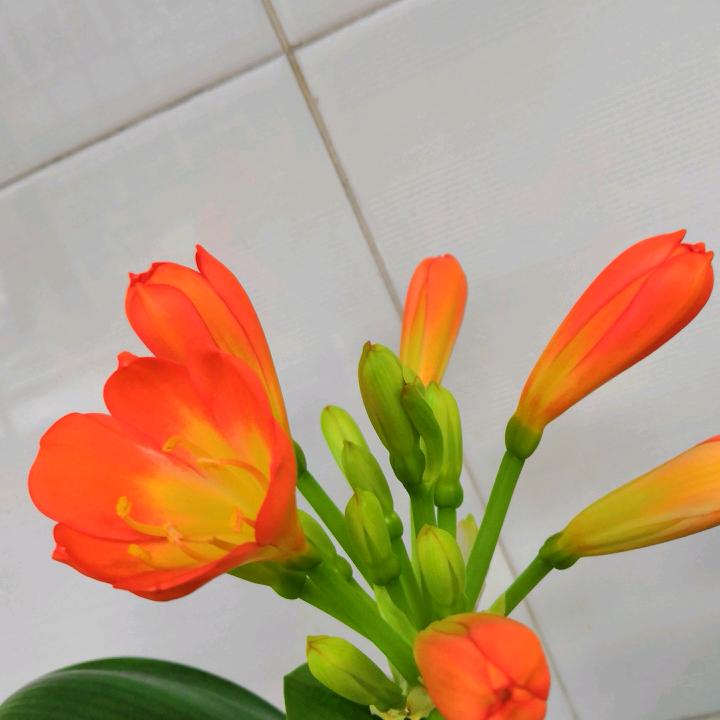 伞🌂