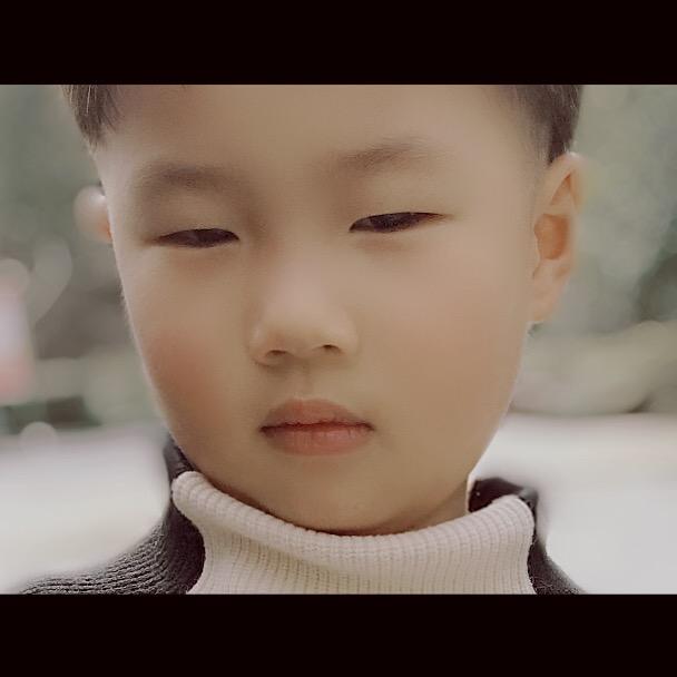 蝌蚪