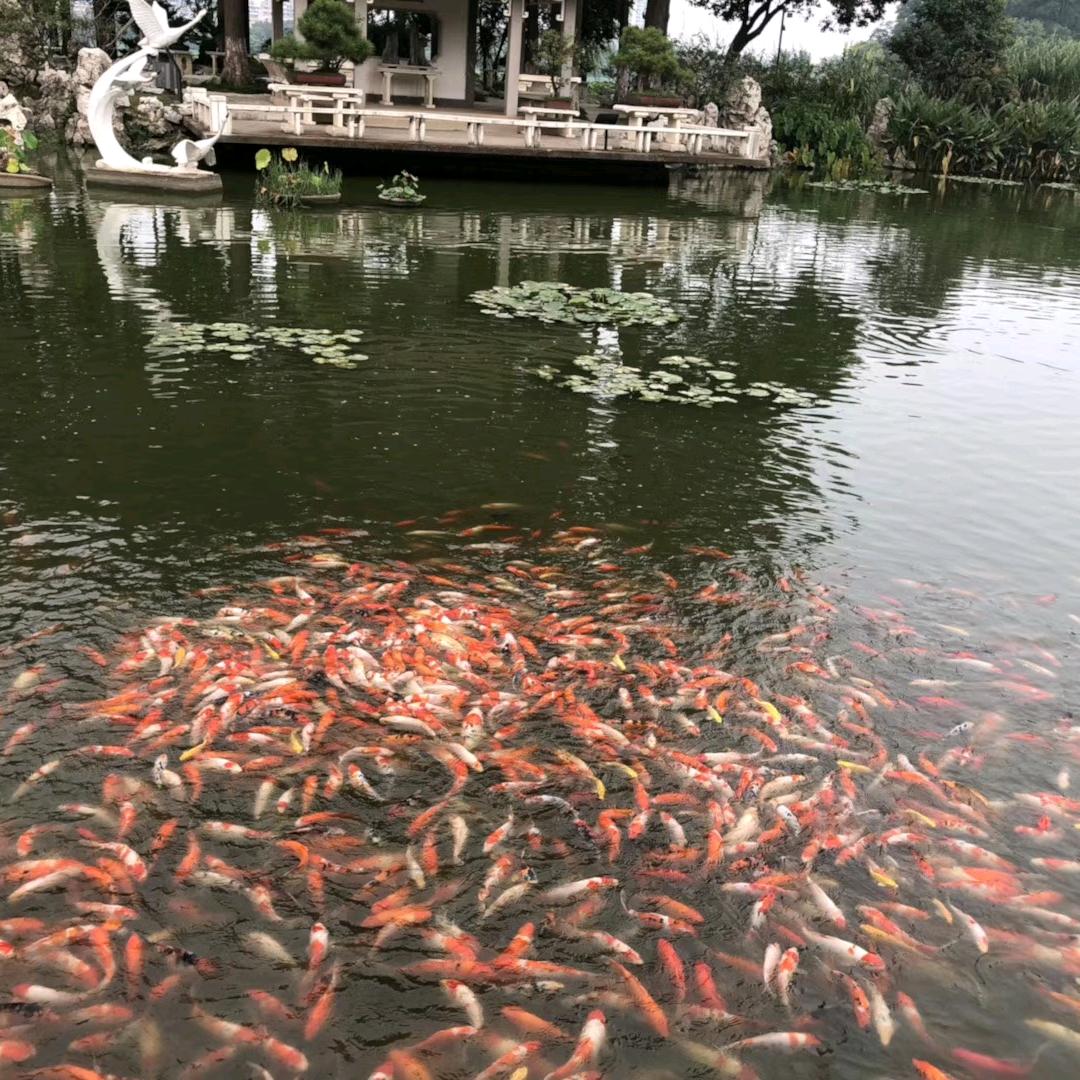 寻找海的港湾