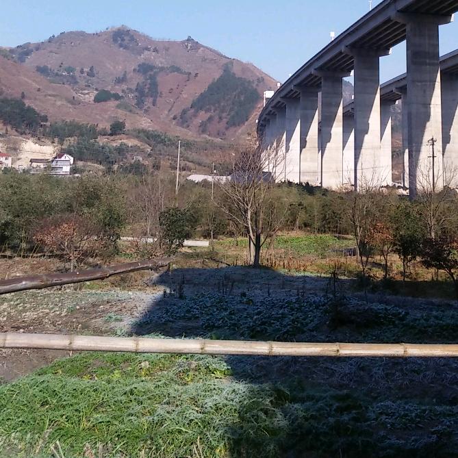 上哪搞点钱☆花花