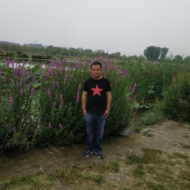 东东