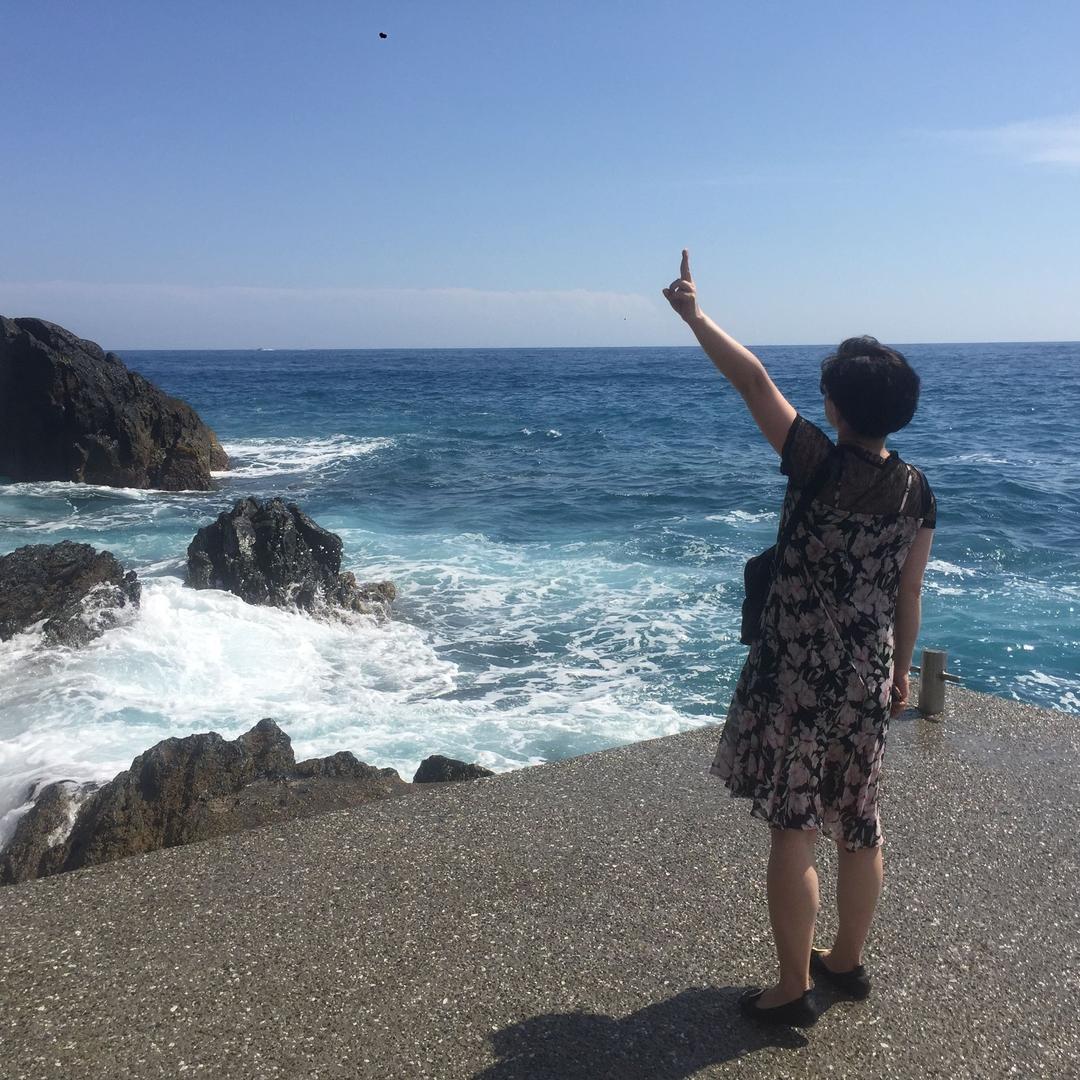 满园芳菲