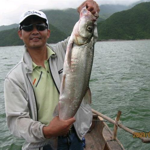 浙江钓鱼杀手