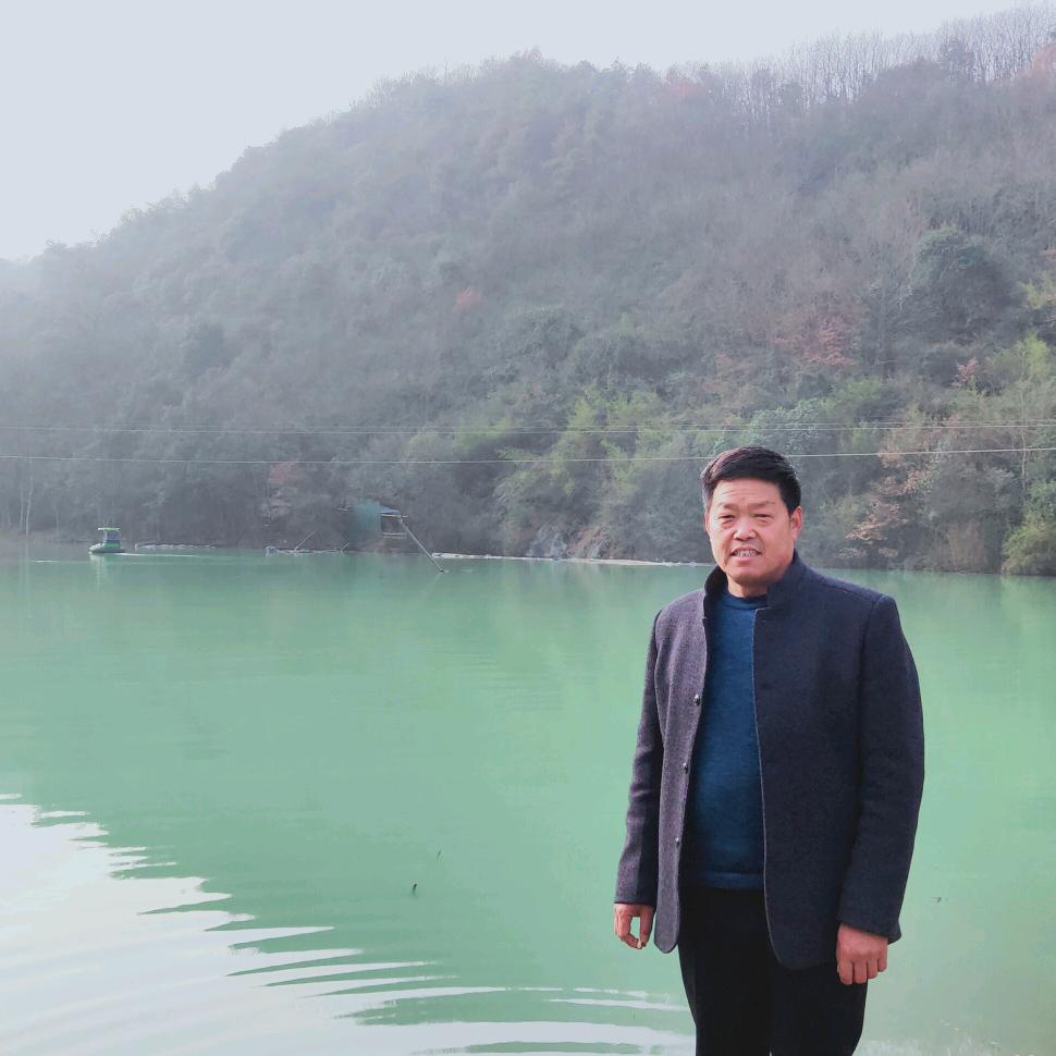 枝叶扶苏～元法