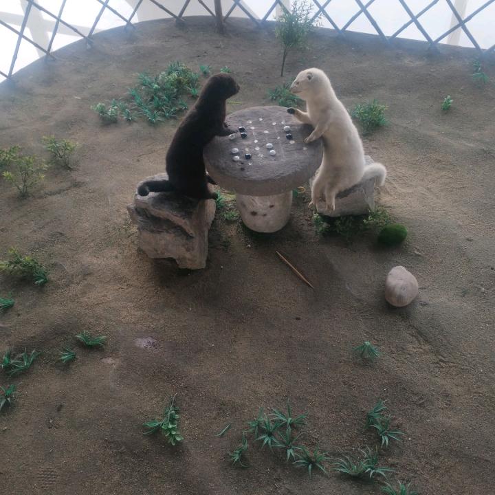 老乡好