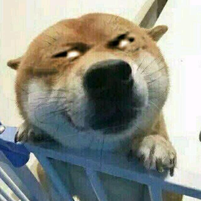 豆豆啊