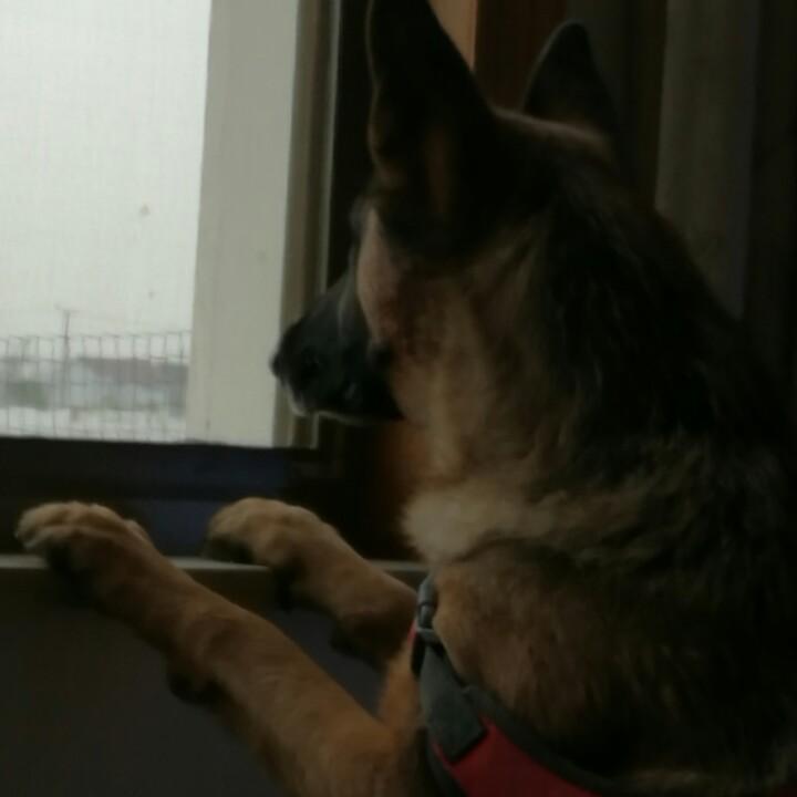 等雨停