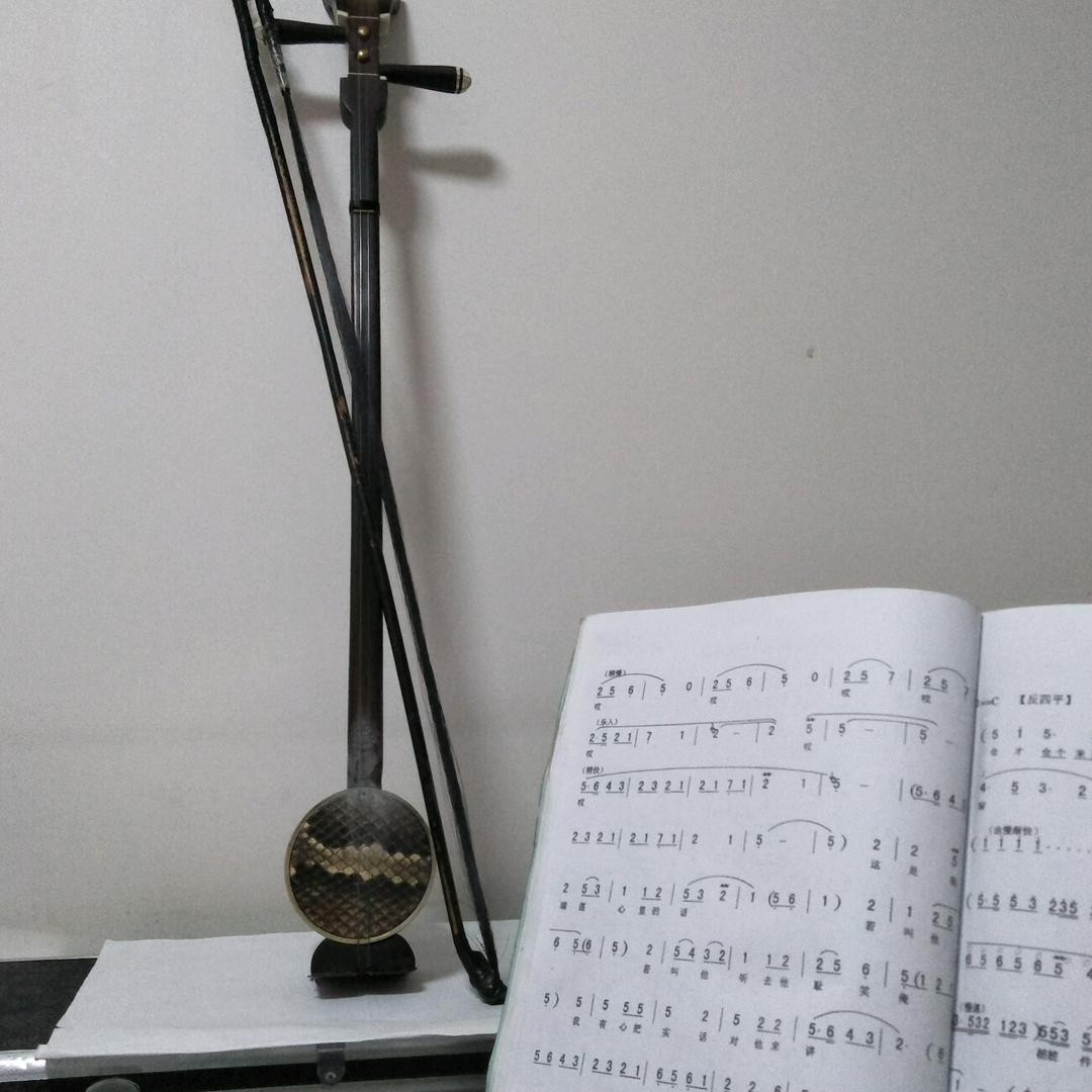 酷夕阳——学拉坠琴