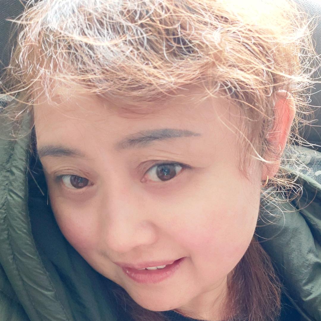 桃李不言