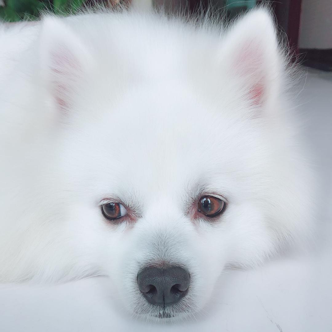 蔚蓝的一滴水