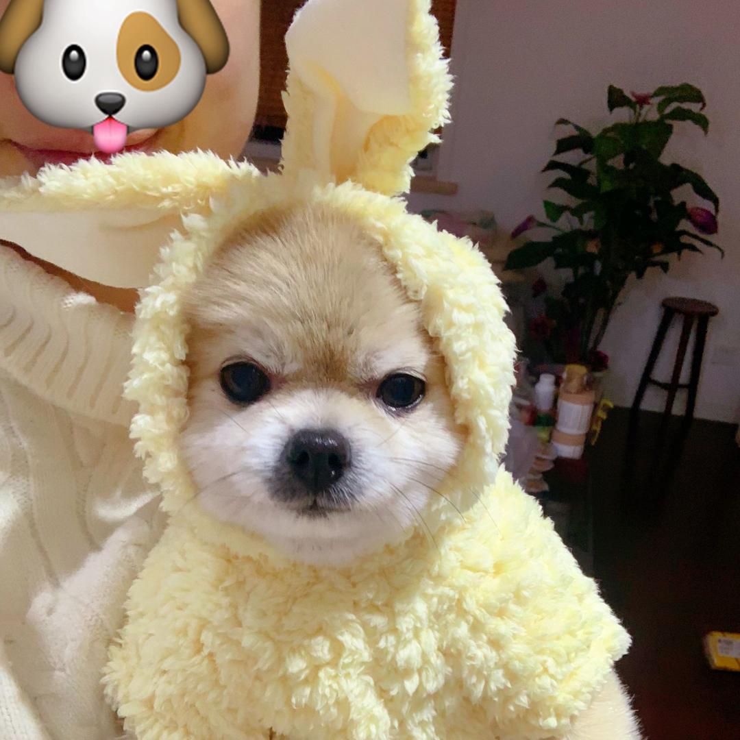 菜心