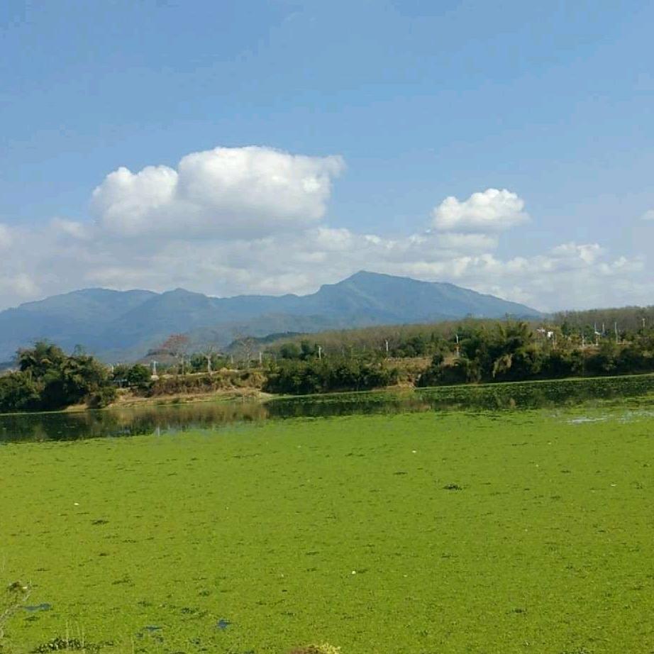 乐东红旗礼宾车队