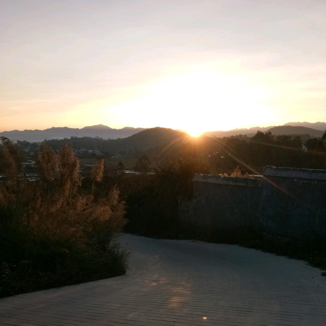 红叶