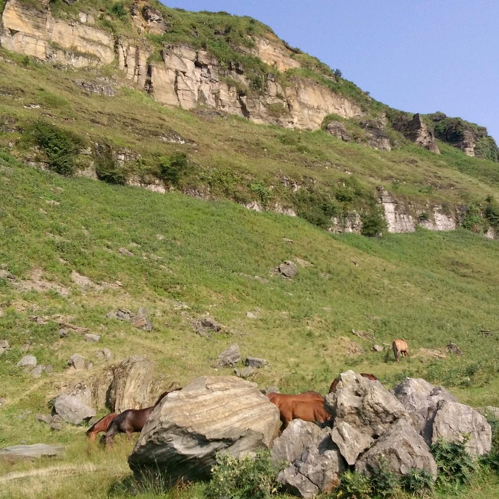 自己觉得高兴就好