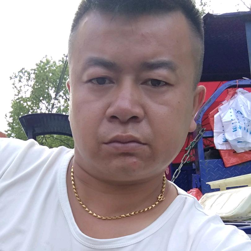 专业赶戏糖炒板栗。