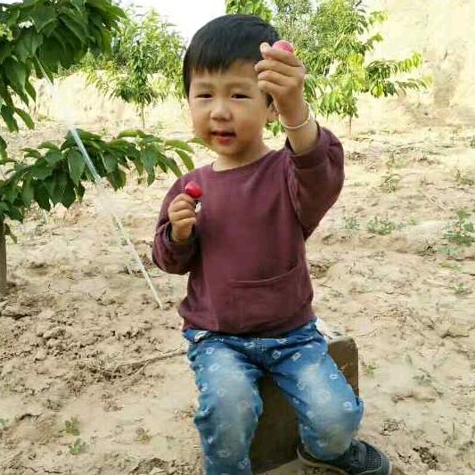 晨起总能看到阳光