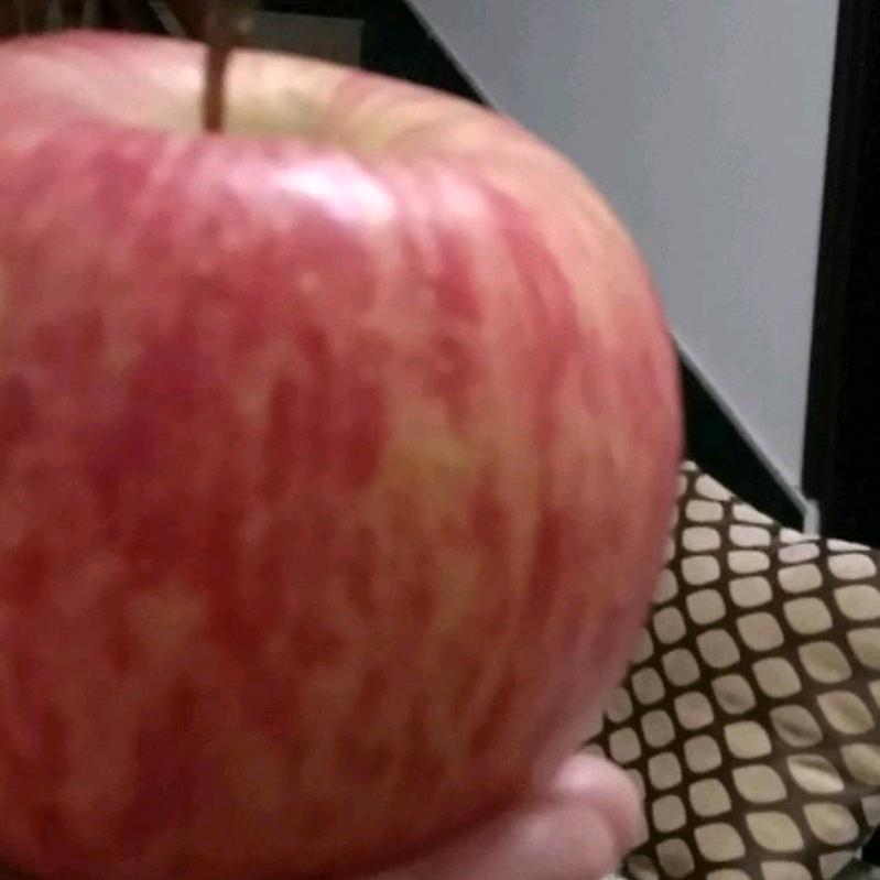 欣欣向荣