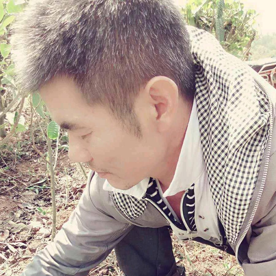 静静的看着就好