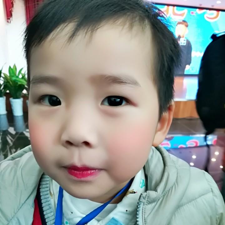 杨不懂