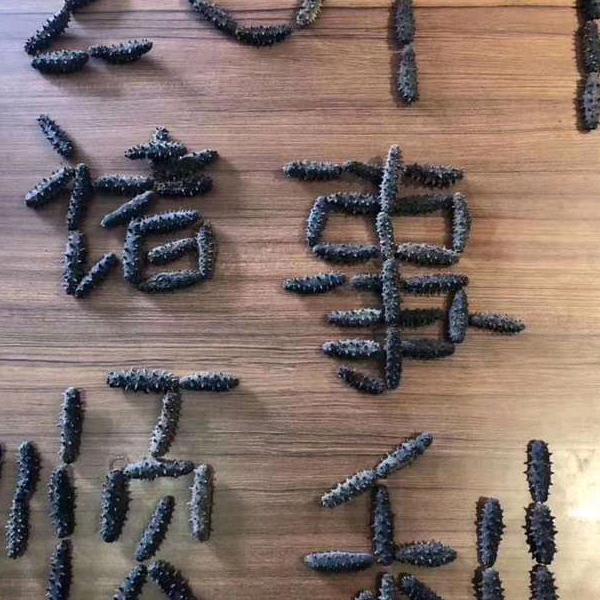 逆风更适合飞翔