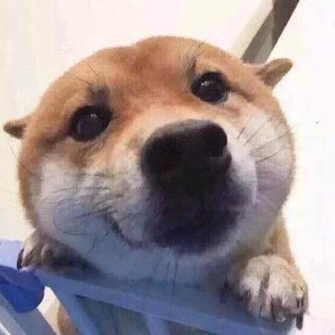 毕竟我是周周呀