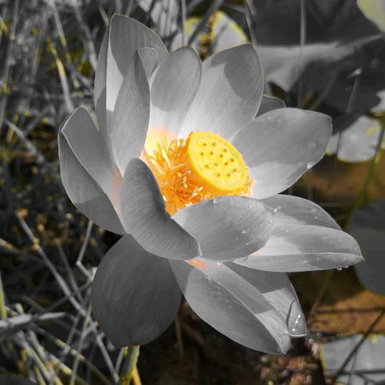 美好时光