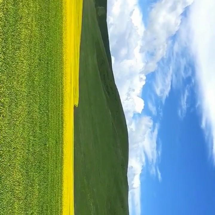 凝望99